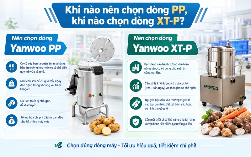 Khi nào nên chọn dòng PP, khi nào chọn dòng XT-P