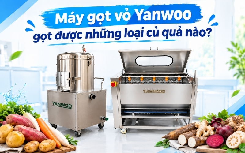 Máy gọt vỏ Yanwoo gọt được những loại củ quả nào