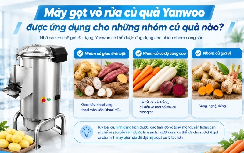 Máy gọt vỏ rửa củ quả Yanwoo được ứng dụng cho những nhóm củ quả nào