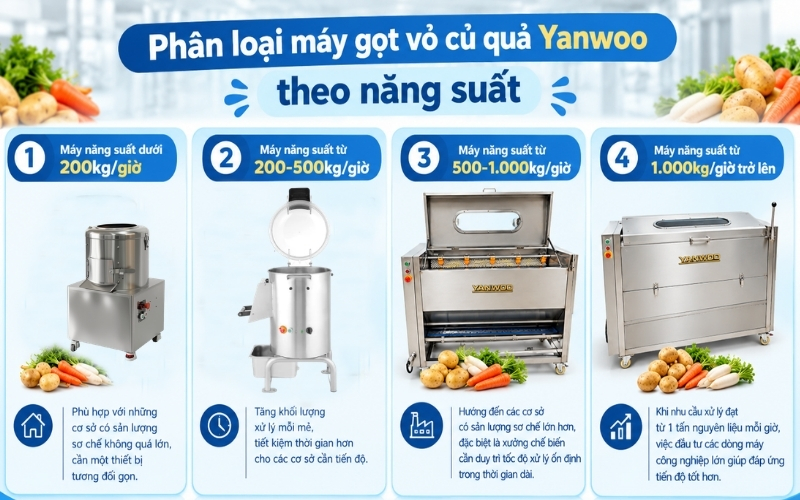 Phân loại máy gọt vỏ củ quả Yanwoo theo năng suất