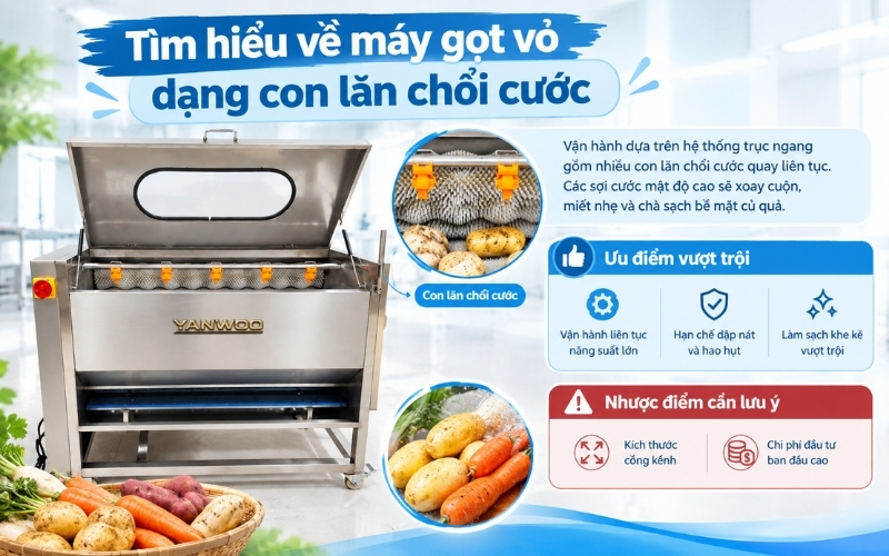 Tìm hiểu về máy gọt vỏ dạng con lăn chổi cước