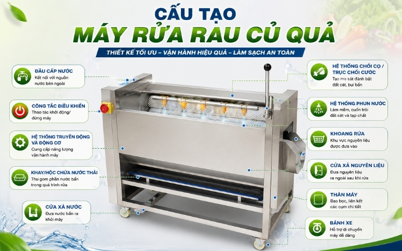 Cấu tạo và cơ chế vận hành máy rửa rau củ quả