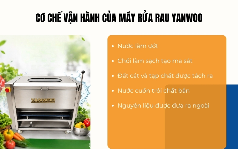 Cơ chế vận hành của máy rửa rau Yanwoo