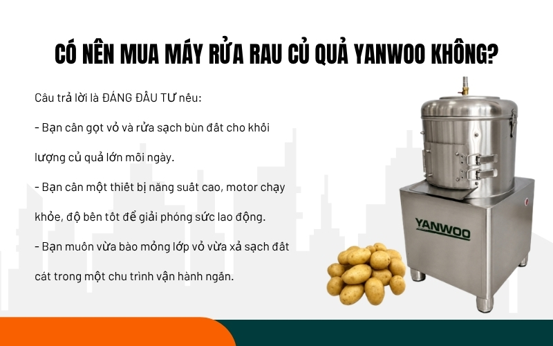 Có nên mua máy rửa rau củ quả Yanwoo không?