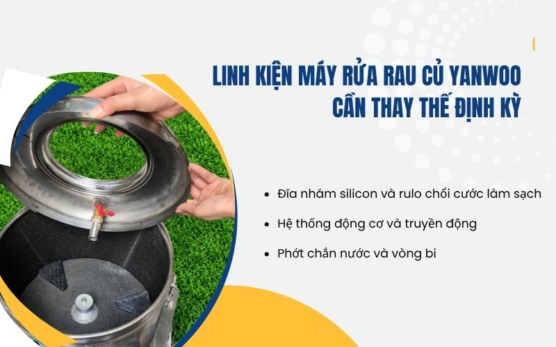 Linh kiện máy rửa rau củ Yanwoo cần thay thế định kỳ