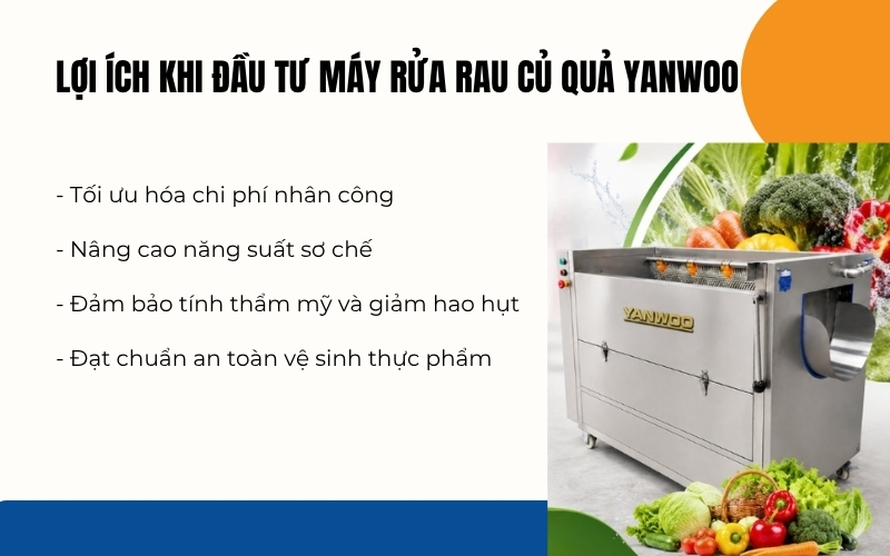 Lợi ích khi đầu tư máy rửa rau củ quả Yanwoo