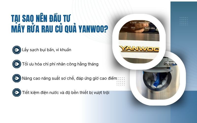 Tại sao nên đầu tư máy rửa rau củ quả Yanwoo?