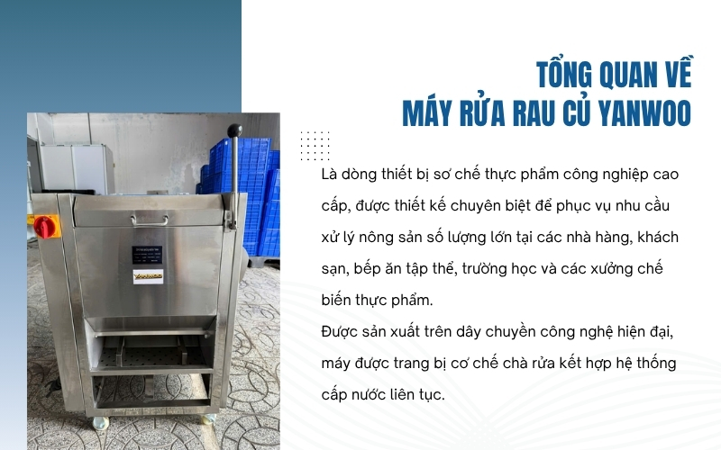 Tổng quan về máy rửa rau củ Yanwoo