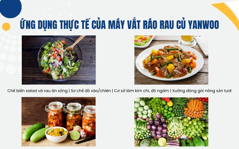 Ứng dụng thực tế của máy vắt ráo rau củ Yanwoo