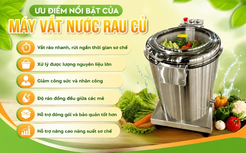 Ưu điểm nổi bật của máy vắt nước rau củ