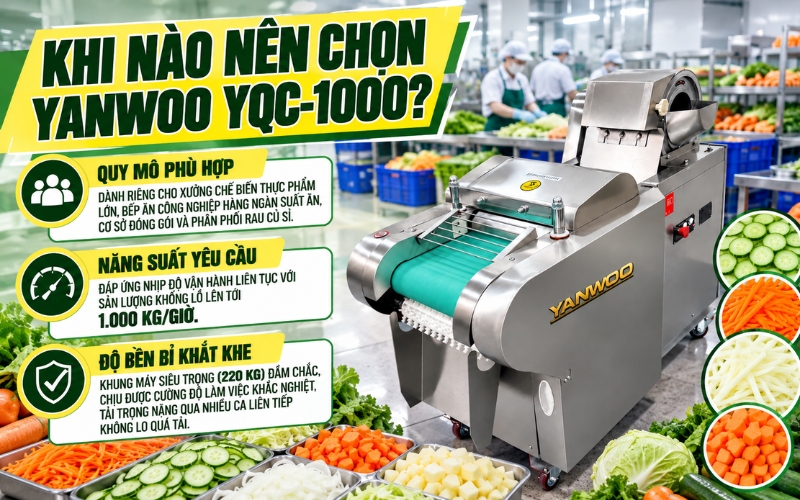 Khi nào nên chọn Yanwoo YQC-1000?