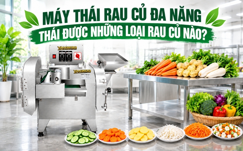 Máy Thái Rau Củ Đa Năng Thái Được Những Loại Rau Củ Nào?