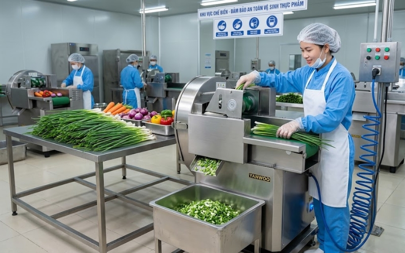 Máy thái rau củ đa năng Yanwoo CHD-20 có thực sự bền?