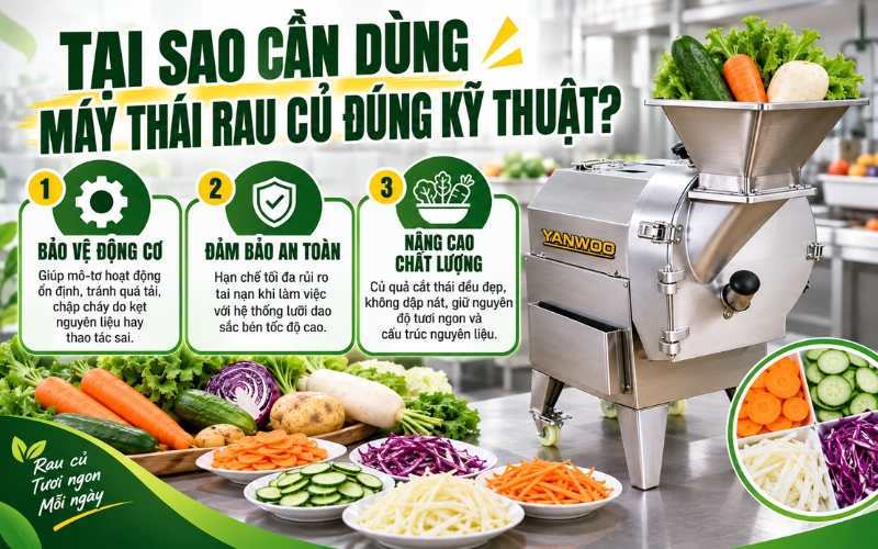 Tại sao cần sử dụng máy thái rau củ quả đúng kỹ thuật?