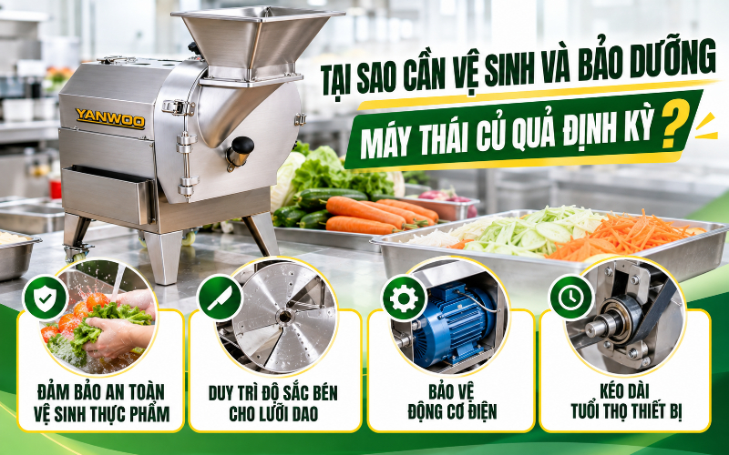 Tại sao cần vệ sinh và bảo dưỡng máy thái củ quả định kỳ?