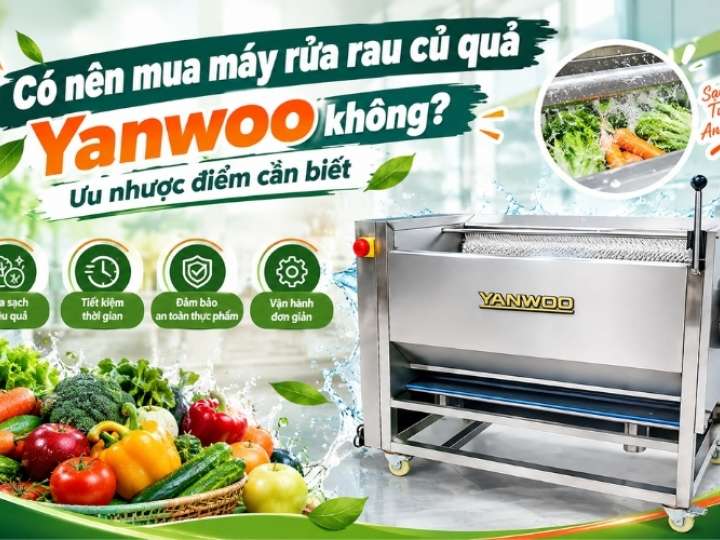 Có nên mua máy rửa rau củ quả Yanwoo không? Ưu nhược điểm cần biết 