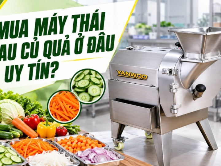 Mua Máy Thái Rau Củ Quả Ở Đâu Uy Tín?